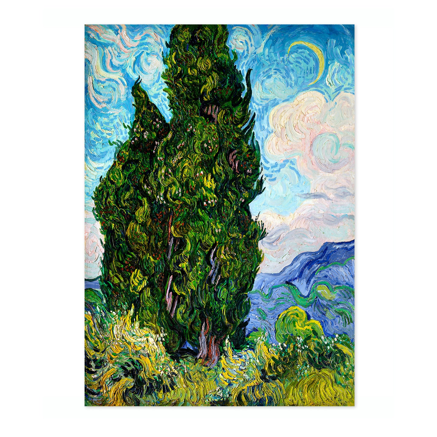 Cypresses