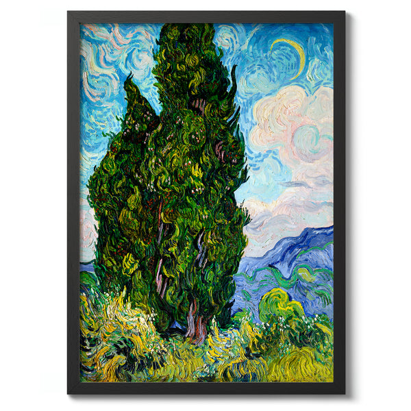 Cypresses