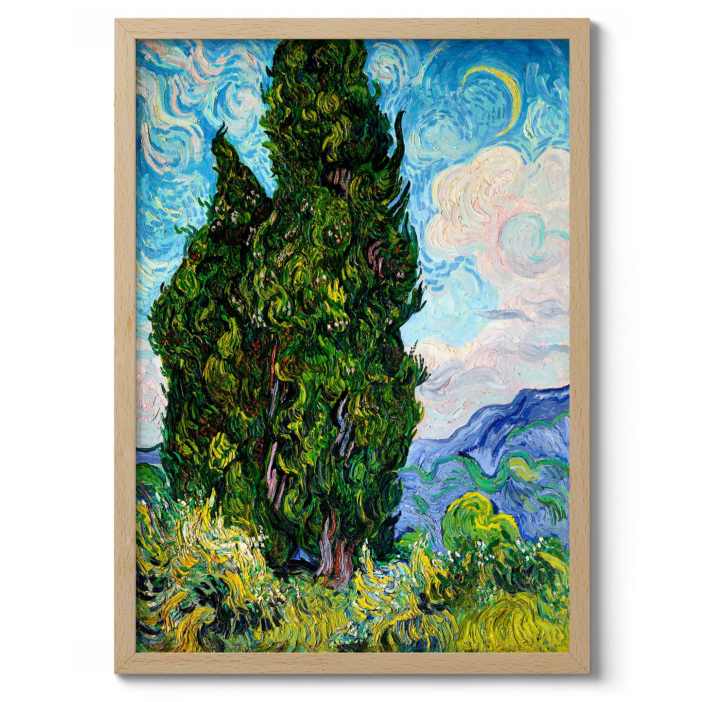 Cypresses