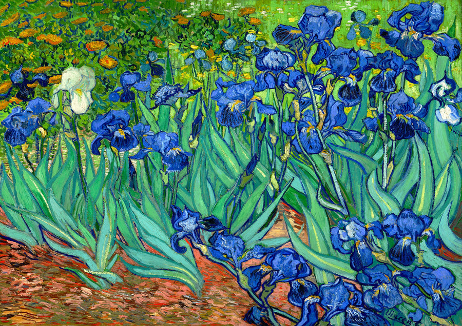 Irises - Print Only frame