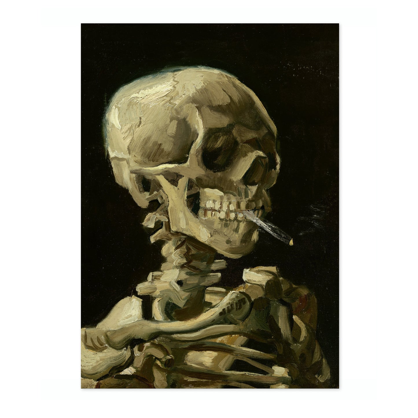 Skull of a Skeleton with Burning Cigarette