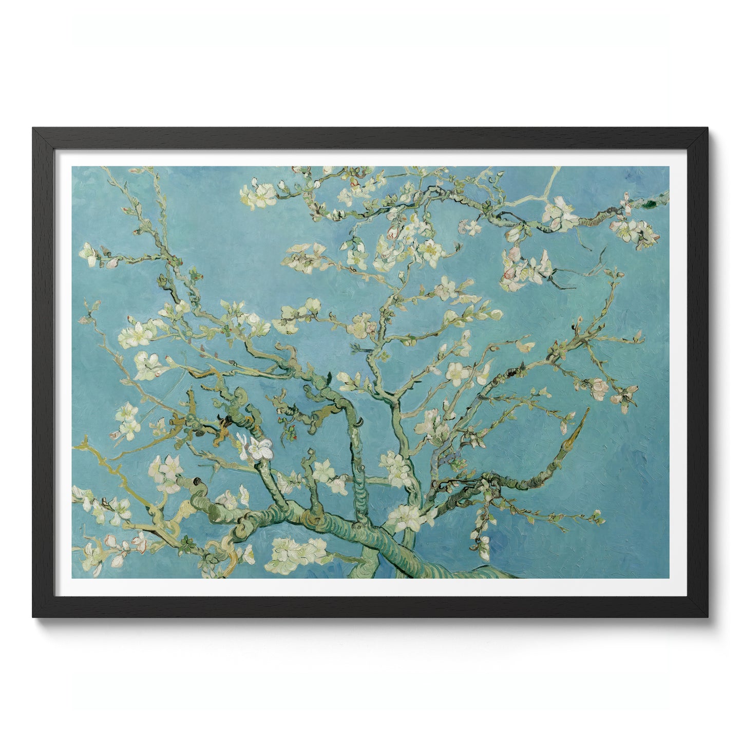 Almond Blossom