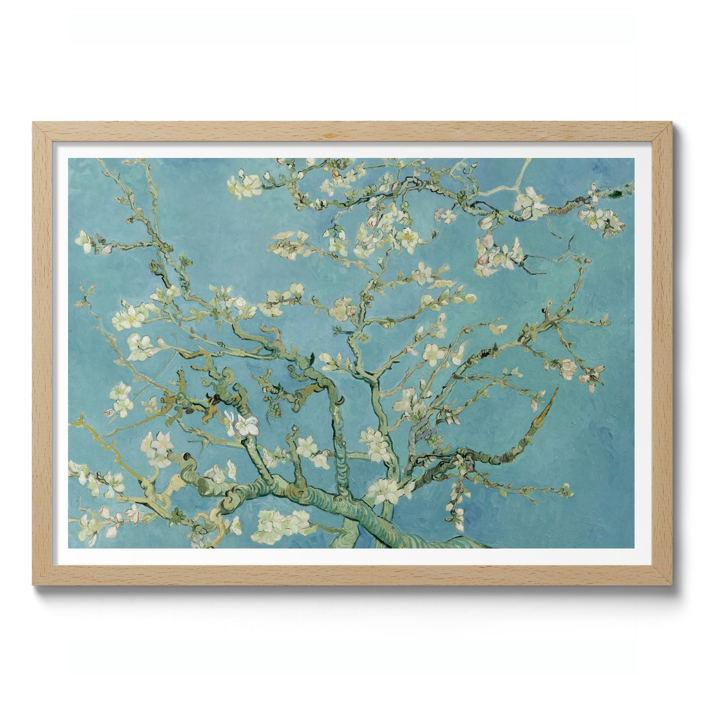 Almond Blossom