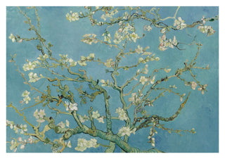 Almond Blossom print
