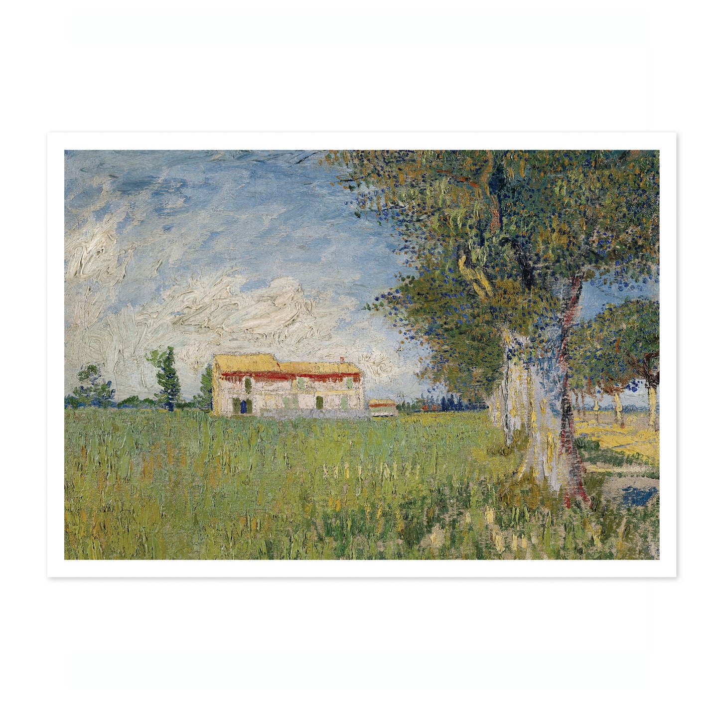 Farmhouse in a Wheatfield