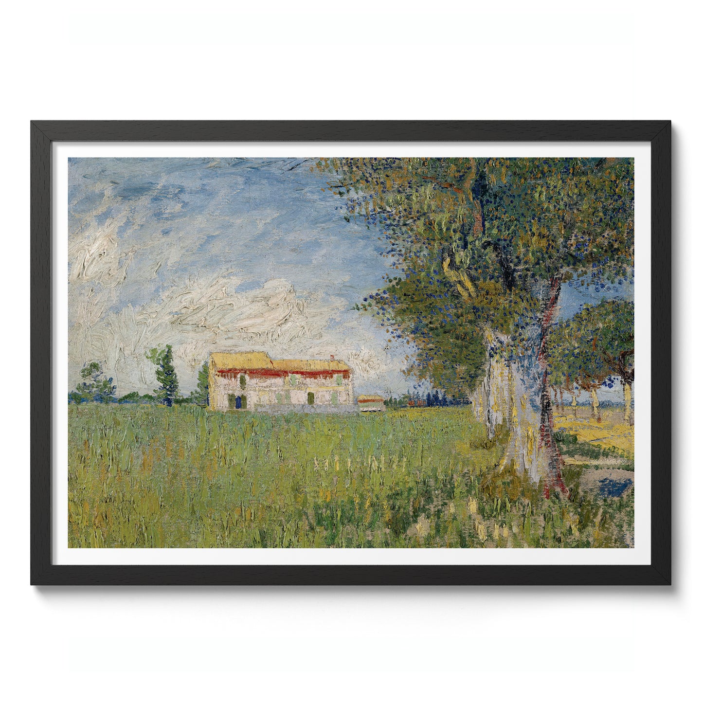 Farmhouse in a Wheatfield