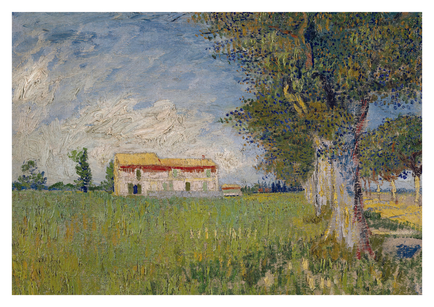Farmhouse in a Wheatfield