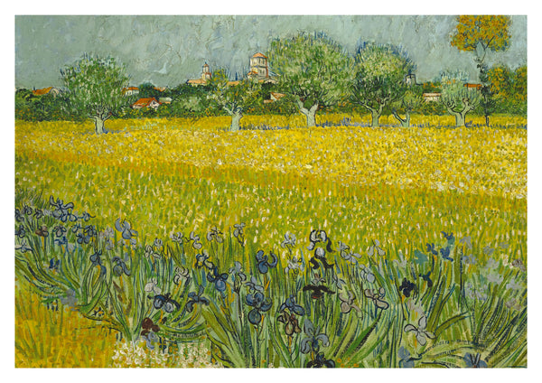 Field with Flowers near Arles