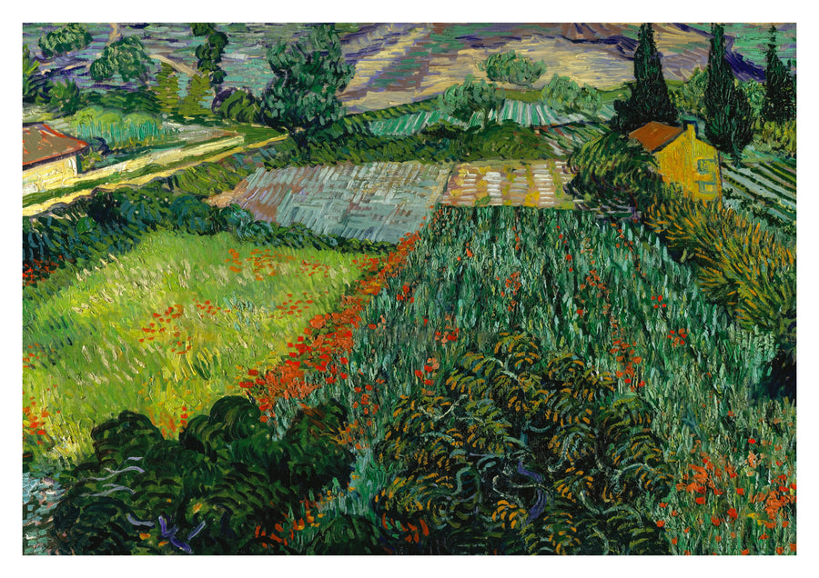 Feld mit Mohnblumen - Print Only frame