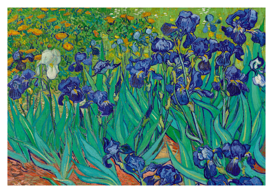 Irises - Print Only frame