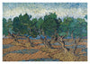 Olive Grove print