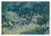 Olive Orchard print