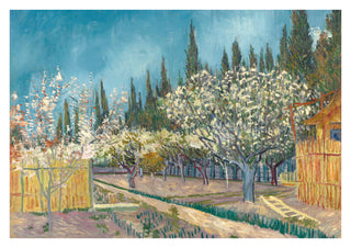Orchard Bordered by Cypresses print
