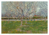 Orchard in Blossom print