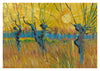 Pollard-Weiden bei Sonnenuntergang print