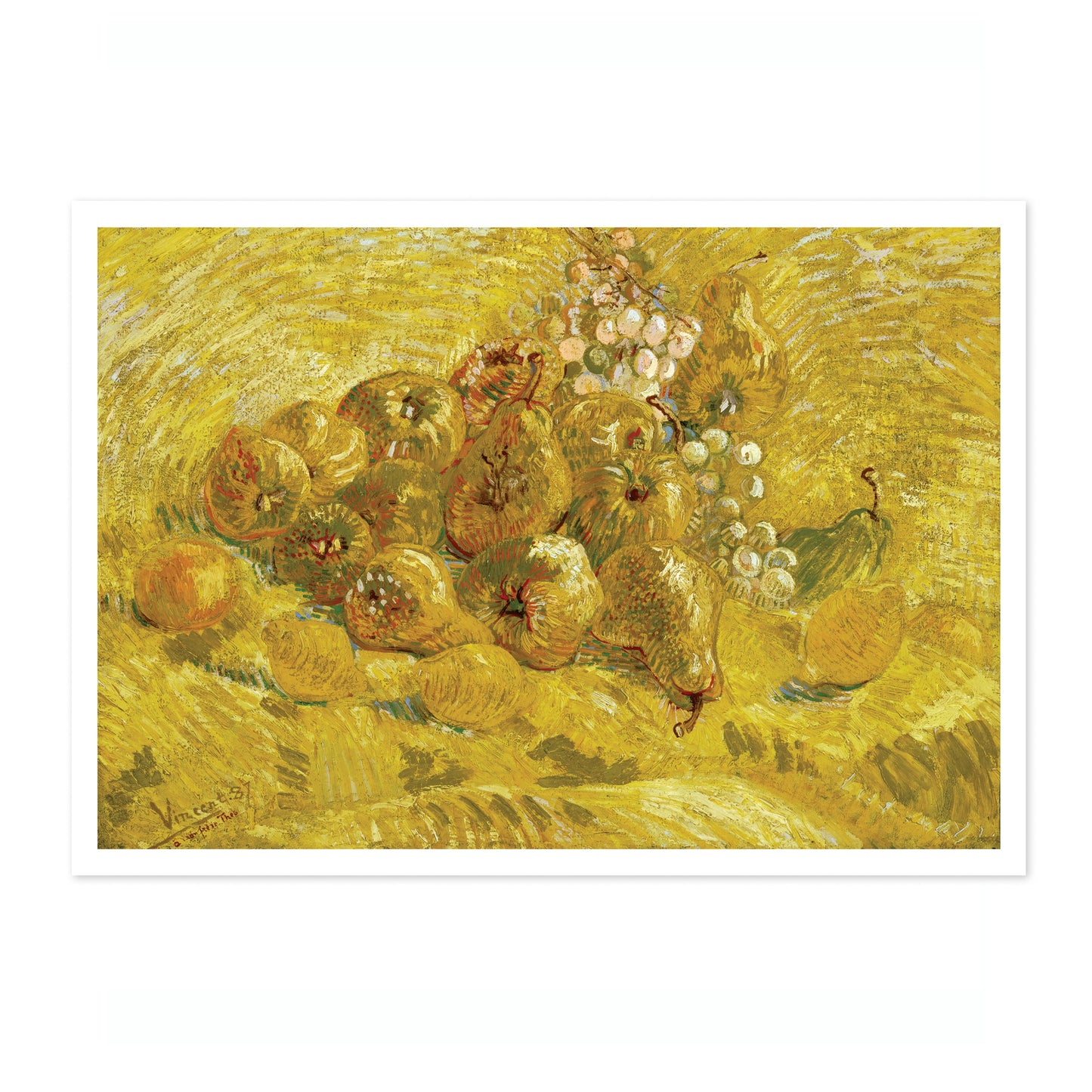 Kvedar, citroner, päron och druvor