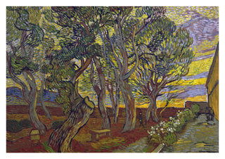 De Tuin van het Gesticht print