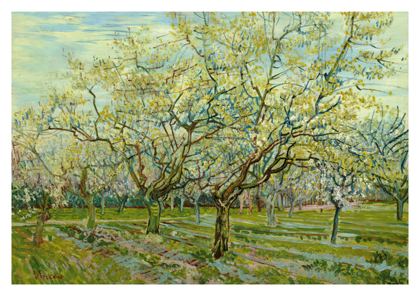 Der Weiße Obstgarten