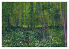 Trees & Undergrowth print