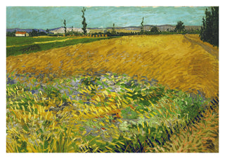 Wheatfield print