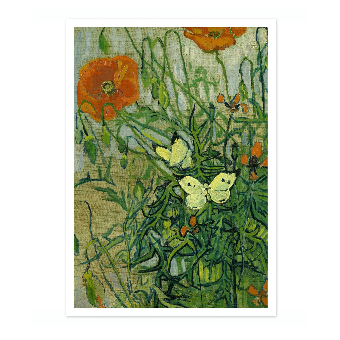 Vlinders en Klaprozen