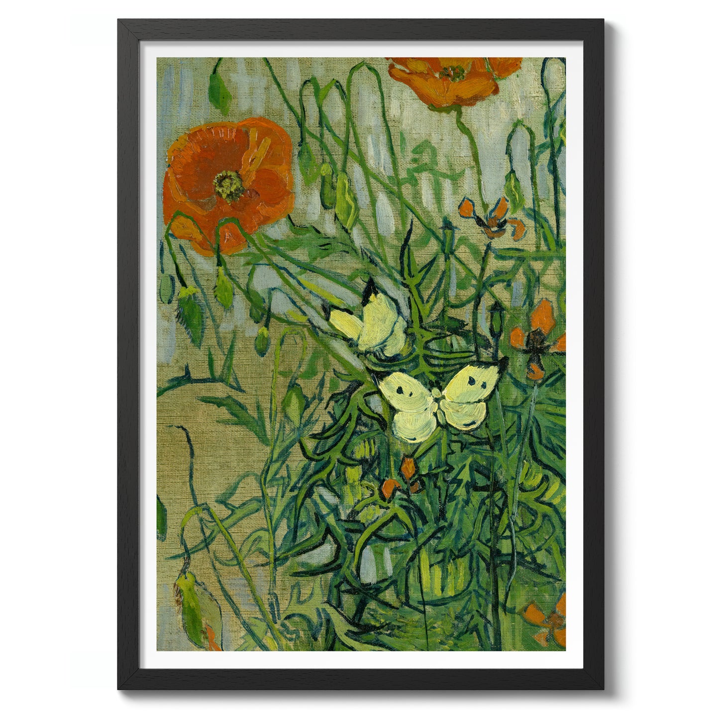 Vlinders en Klaprozen