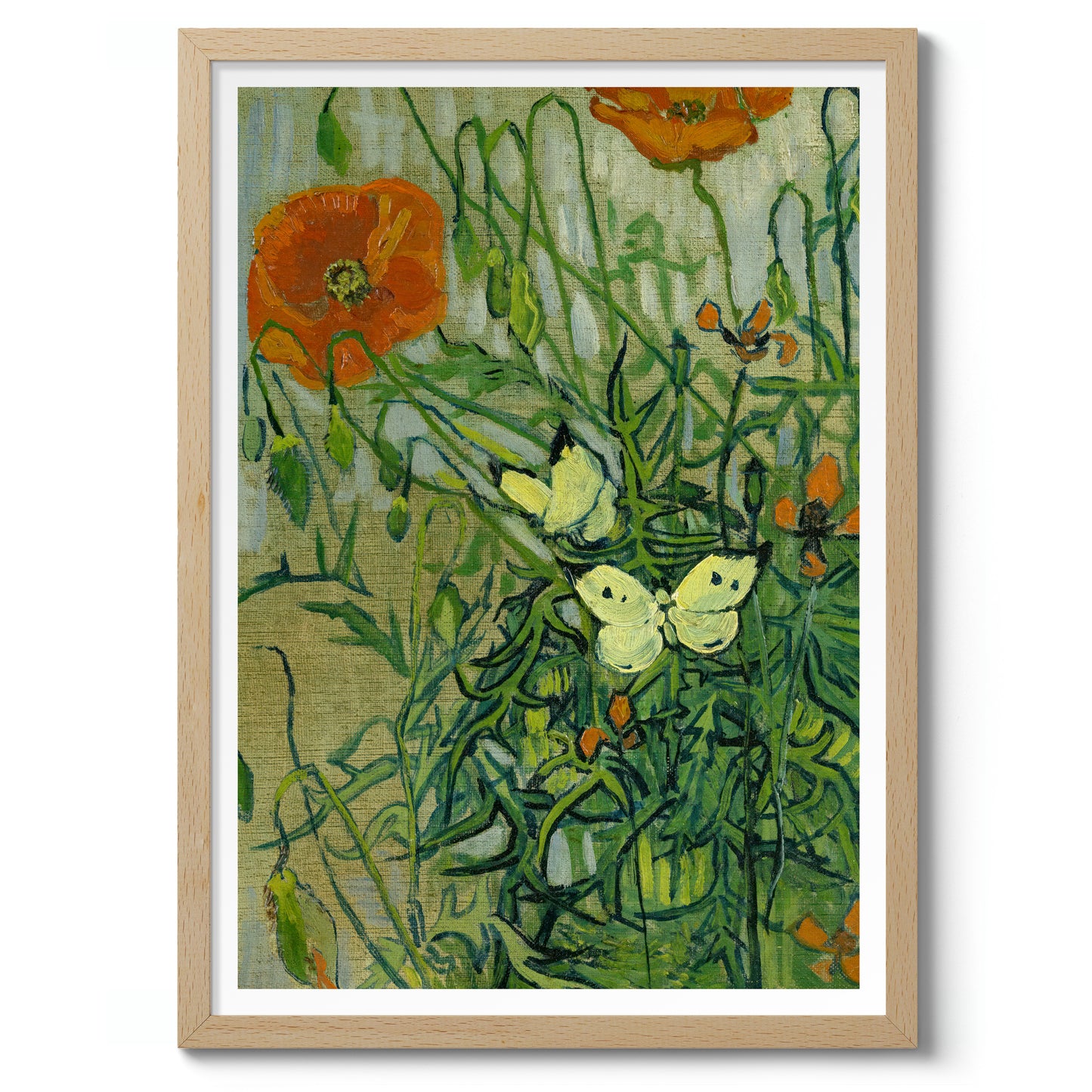 Vlinders en Klaprozen