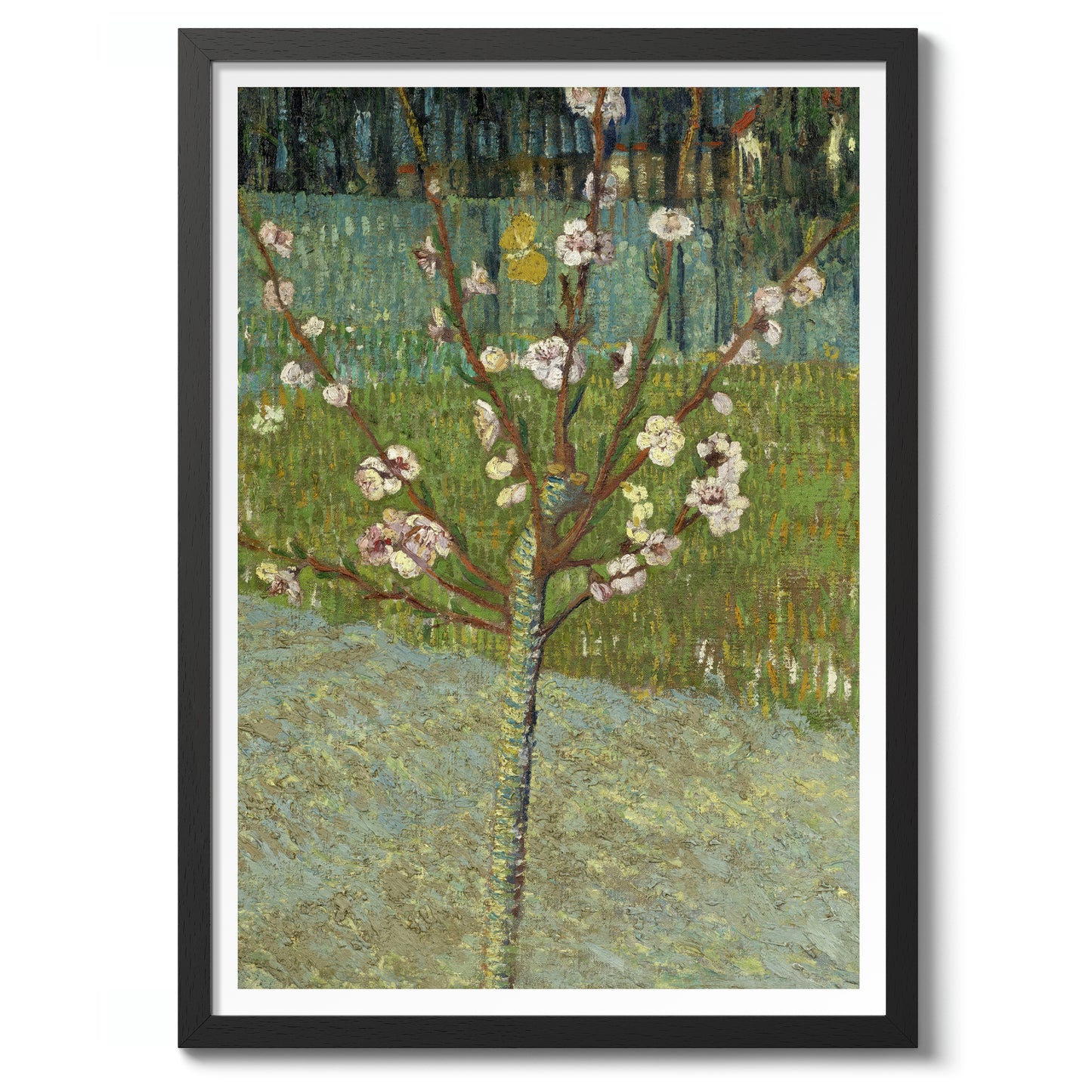 Peach Tree in Blossom