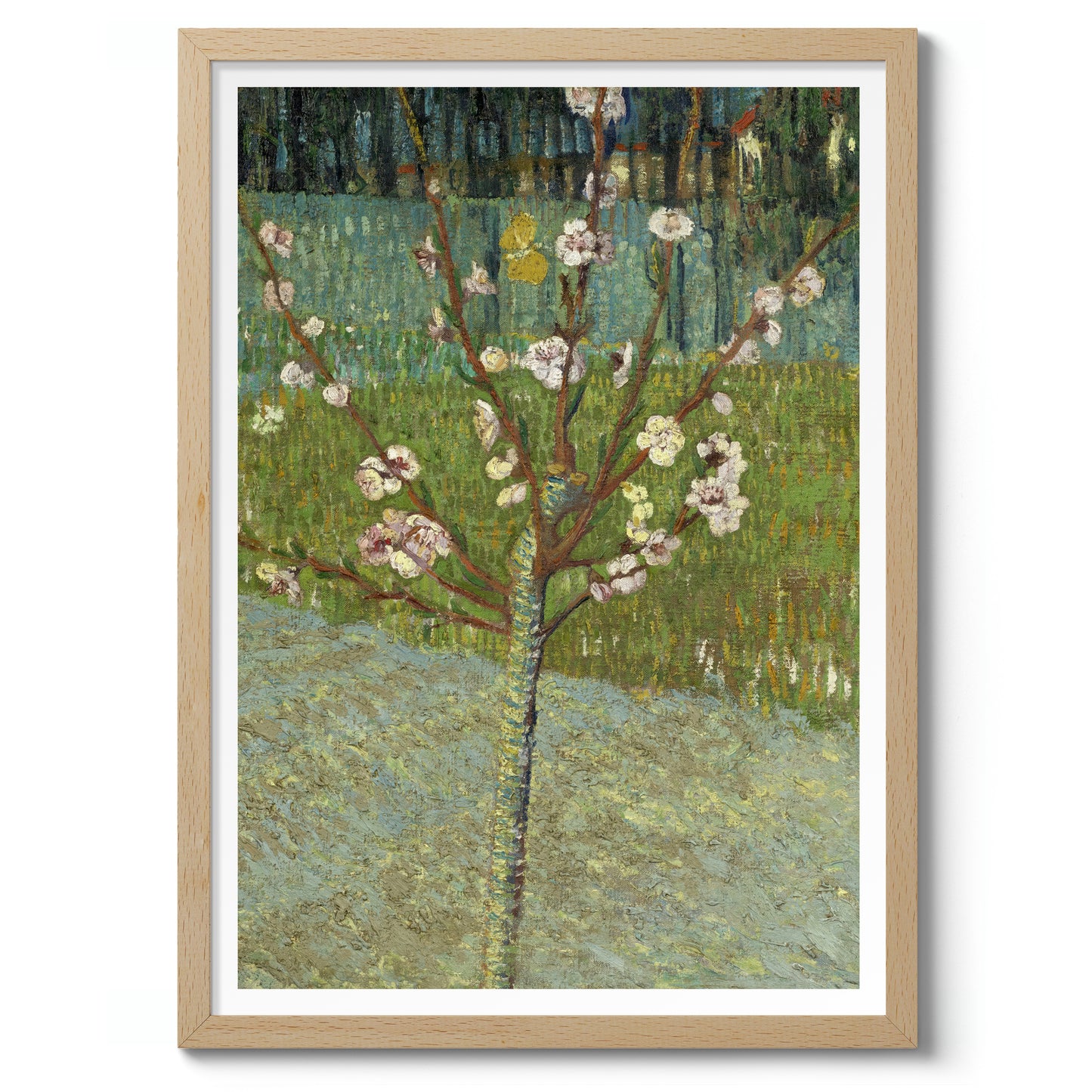 Peach Tree in Blossom