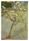 Small Pear Tree in Blossom print