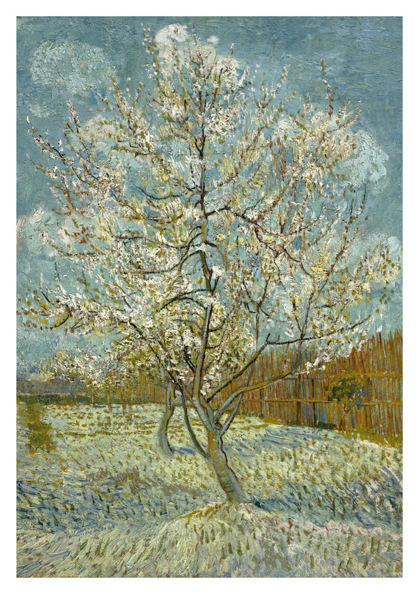 Der rosa Pfirsichbaum