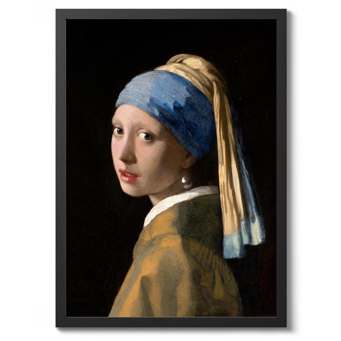 Mädchen mit dem Perlenohrring