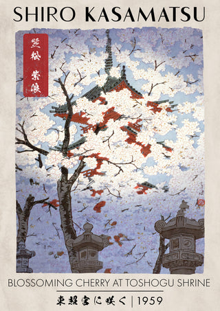 Cherry Blossom at Toshogu print