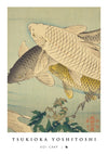 Koi-karp print
