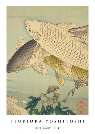 Koi Carp print
