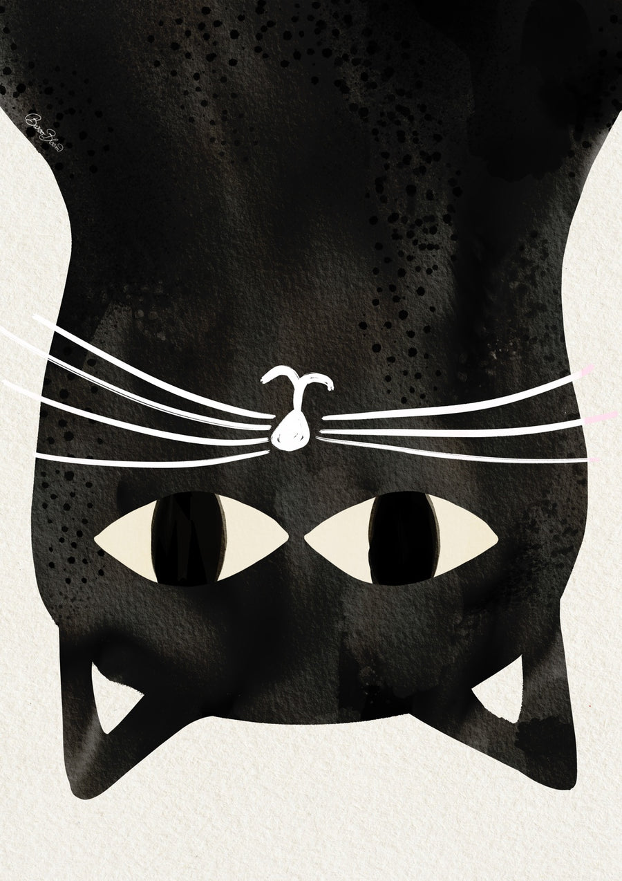 Cat Down - Print Only frame