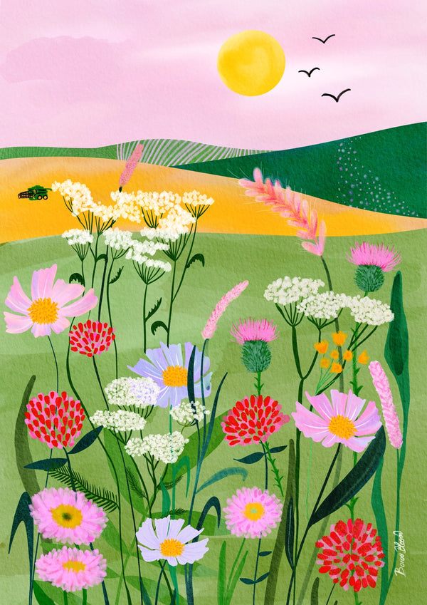 Field Blooms