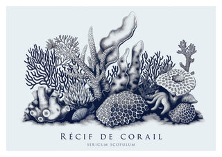 Korallenriff print