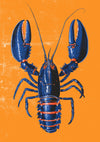 Blue Lobster print