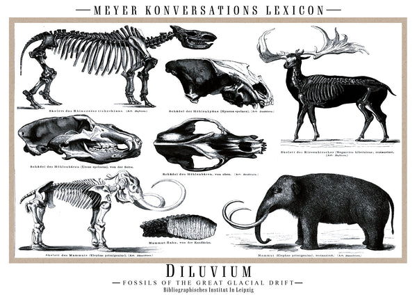Diluvium