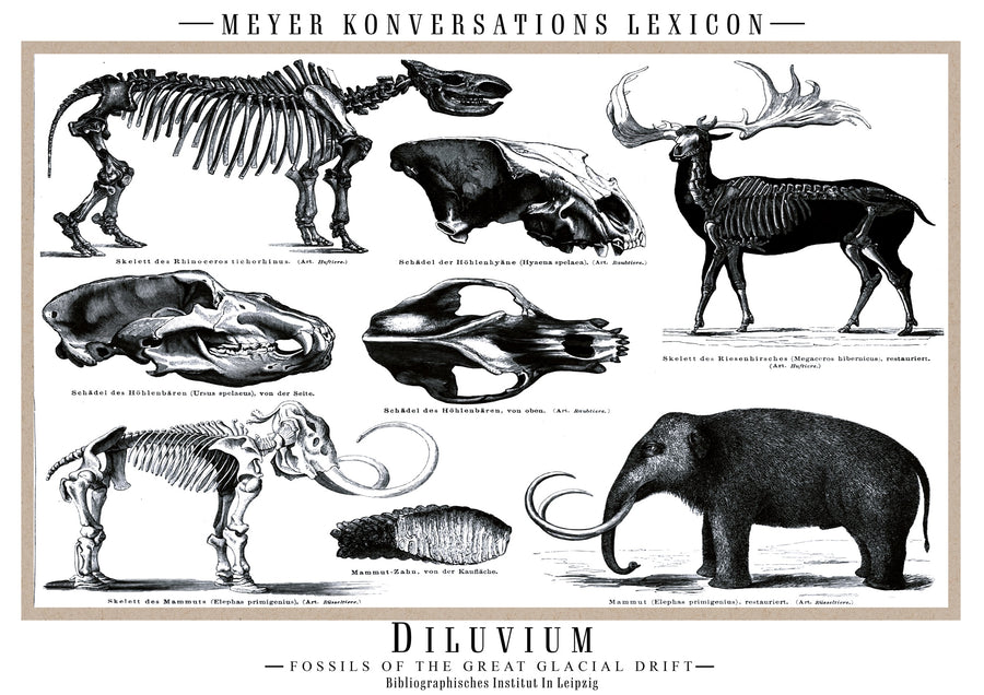 Diluvium - Print Only frame