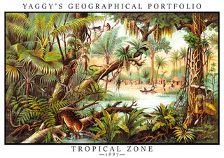 Tropical Zone print