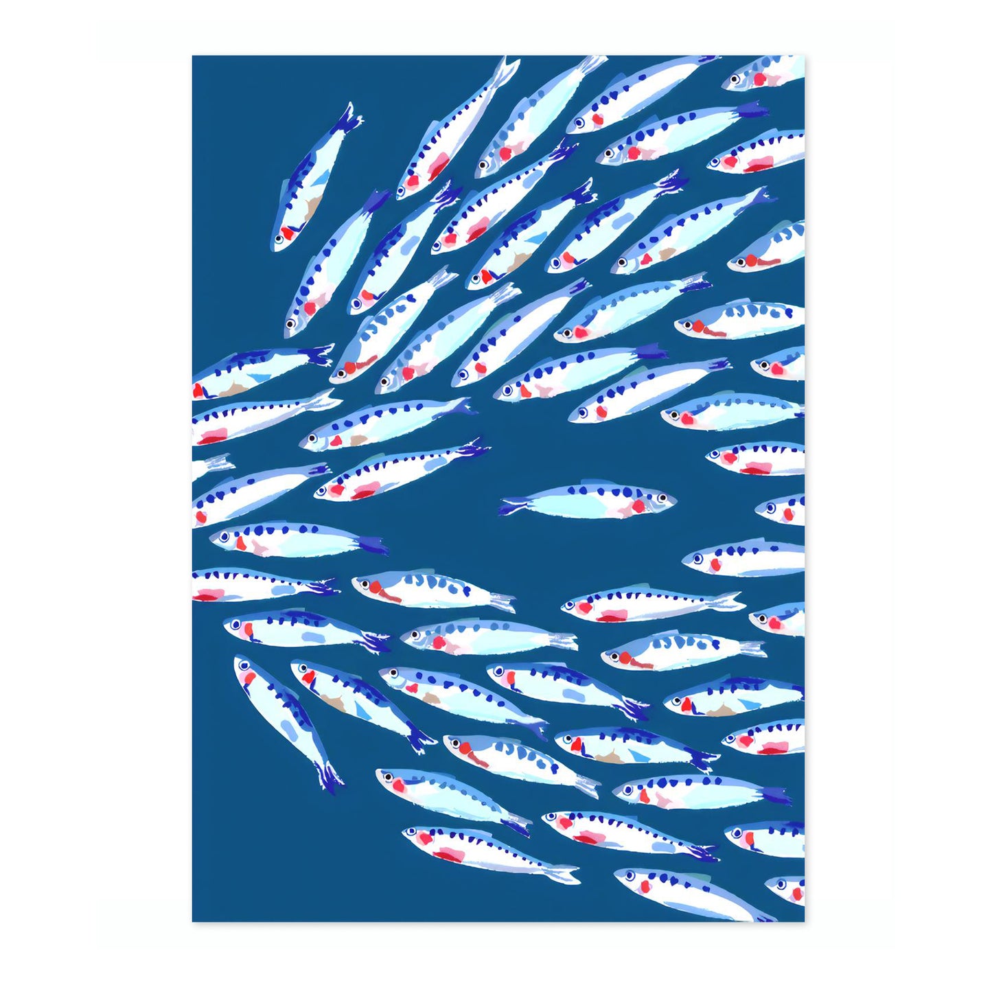 Gegen den Fischschwarm schwimmen