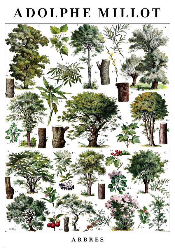 Bomen