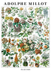 Bloemen print