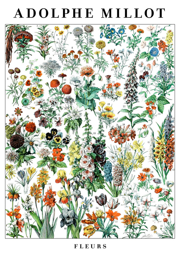 Blommor