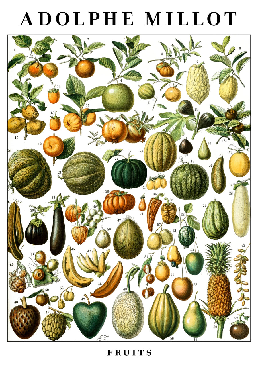 Fruits - Print Only frame