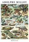 Reptilien print