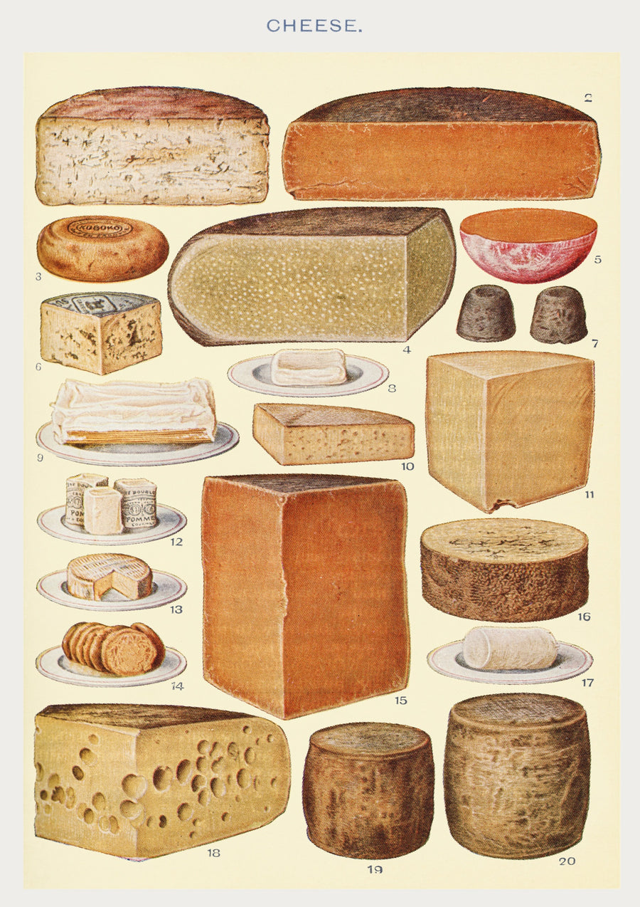 Käse - Print Only frame