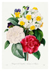 Kamelia- och penseébukett print